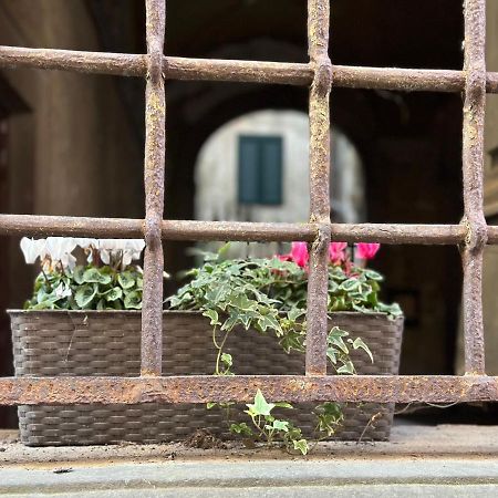 In Centro Lovely Home Lucca Exterior foto